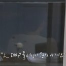 여자야 여자야 이미지