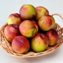 고신농장 | [공지] 달콤 쫀득한 속노란 신선복숭아, 만족도 99%의 고당도를 맛보세요!