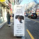 하울 애견 유치원 | 훈련사가 운영하는 화곡동 애견유치원 / 하울애견유치원