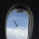 제남기계 | [중국/제남] 중국 지난 여행 산동항공 탑승 후기(SC8002,SC8003), 전자입국신고서