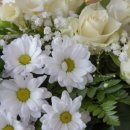 공인 외국어 번역 행정사 사무소 이미지