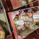 동원2축산 | 코스트코 고척점 12월 첫째주 할인상품 &amp; 추천상품 - 과일, 채소, 유제품, 빵, 신선, 축산, 수산