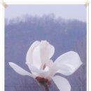 부천-중동-부천-0003 이미지