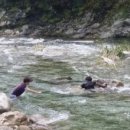 다옴 햇골 캠핑장 이미지