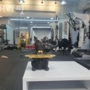 베어리핏 이미지