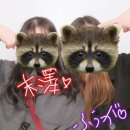 FM25 | FM OSAKA 55th anniversary 리스너 감사제～칸바리！봄의 FAN 축제～ 방청 후기
