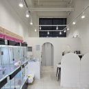 청주강아지분양 애견입양 애견미용 바른펫 이미지