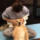 골든손마사지