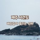 서건도인근 이미지