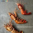 밥상스토리 이미지