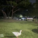 (자)유성택시 이미지