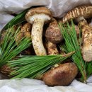 오르목장 이미지