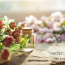 HMC펫케어 이미지