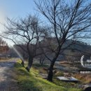 화산쉐르빌골프리조트(주) | 경북 경주 파크골프장 현황