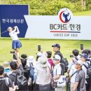 메이저원