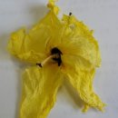 신영농원 이미지