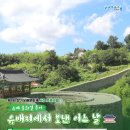 제4회 포항 장기유배문화제 이미지