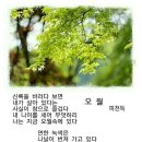 오월속에있다 Daum카페