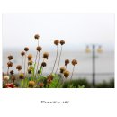 바다가보이는풍경