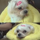 태식농장 이미지