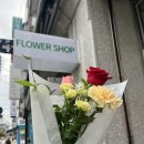 로리플레르