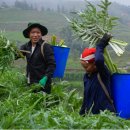 뷰티라인업 이미지