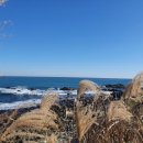 로드엠펜션 가족&단체&커플 이미지