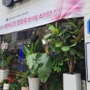 헤어시크 - 서구 갈마로69번길 25 | 헤어시크