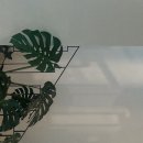 인동16길-1 이미지