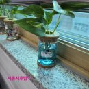 초롱초등학교 앞 횡단보도 | 파주초롱초등학교 학부모공개수업 후기 ✨ 2학년·5학년 두 아이 엄마 솔직 리뷰