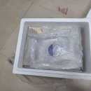 팔복떡명가 | 사무실 간식으로 좋은 팔복떡명가 쑥떡·영양떡 후기 포만감과 건강을 한 번에!