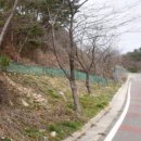 내송농장 이미지
