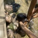 바르미샤브샤브&칼국수 | 바르미 샤브샤브n칼국수 후기-가족 외식으로 넉넉하게 먹기 좋은 곳(내돈내산)