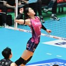 흥국생명 이미지