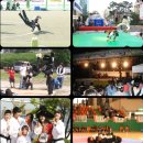 타이거 합기도 이미지