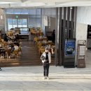 뉴금천 스크린 골프장 | 베뉴지CC 지코스/뉴코스 라운딩 후기 20260321