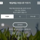 금강 메디테크 네이버블로그