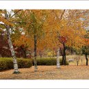 만석공원 이미지