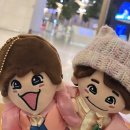 나니와단시 1/11~1/12알파 내한 콘서트 후기
