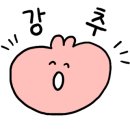 피드데이