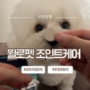 유한회사 고려 | 유한양행 윌로펫 케어 관절영양제, 성분 투명한 강아지영양제 후기