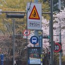 석관동 미리내도서관 앞 이미지