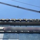 스포츠마니아 | 대구발관리 달서구 진천동발마사지 제왕중국매니아 전신스포츠마사지 후기