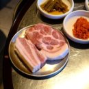 댕댕맛집 이미지