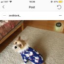 블랭크빔 이미지