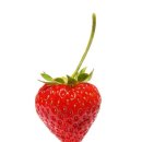 딸기공인중개사사무소 이미지