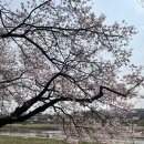 (주)여행이필요해 | [26년 3월 | 월간해석] 30대 취준생은 준비가 아닌 증명이 필요해