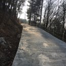 용성농협하나로마트 이미지