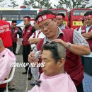 제주여객노동조합 이미지