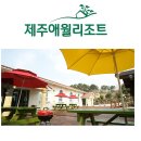 비고리조트 17 이미지